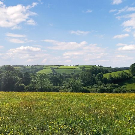 Ynywsen Dairy Flat Villa Llanfynydd Dış mekan fotoğraf